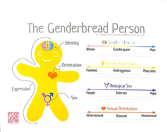genderbreadperson