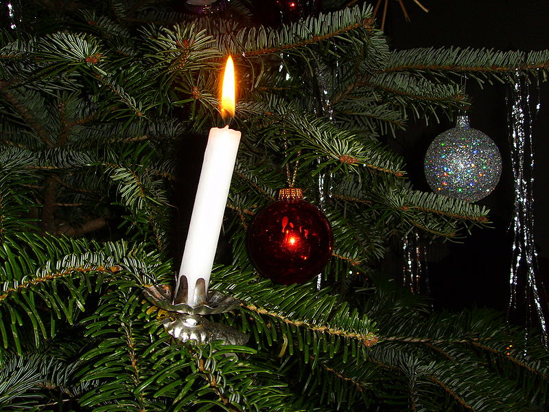 Candle on tree branch
