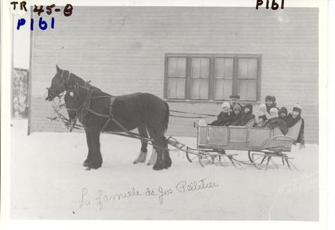 horse drawn sleigh pulling kids winter
